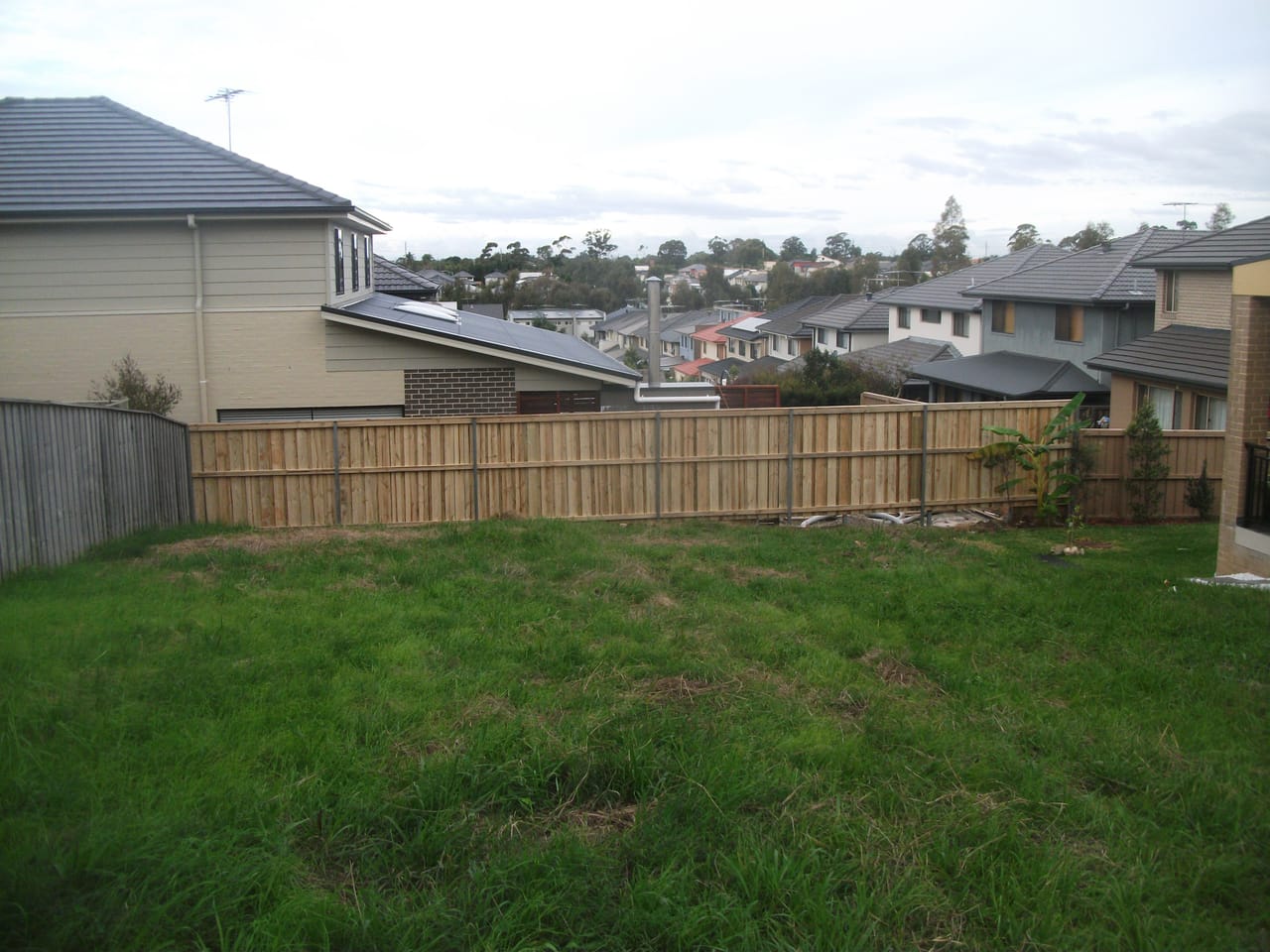 Treated pine timber fence enclosing the rear yard of a Sydney home with neighbouring rooftops beyond